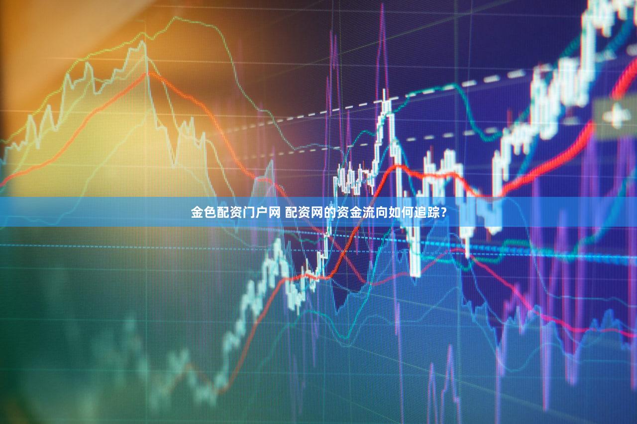 金色配资门户网 配资网的资金流向如何追踪？