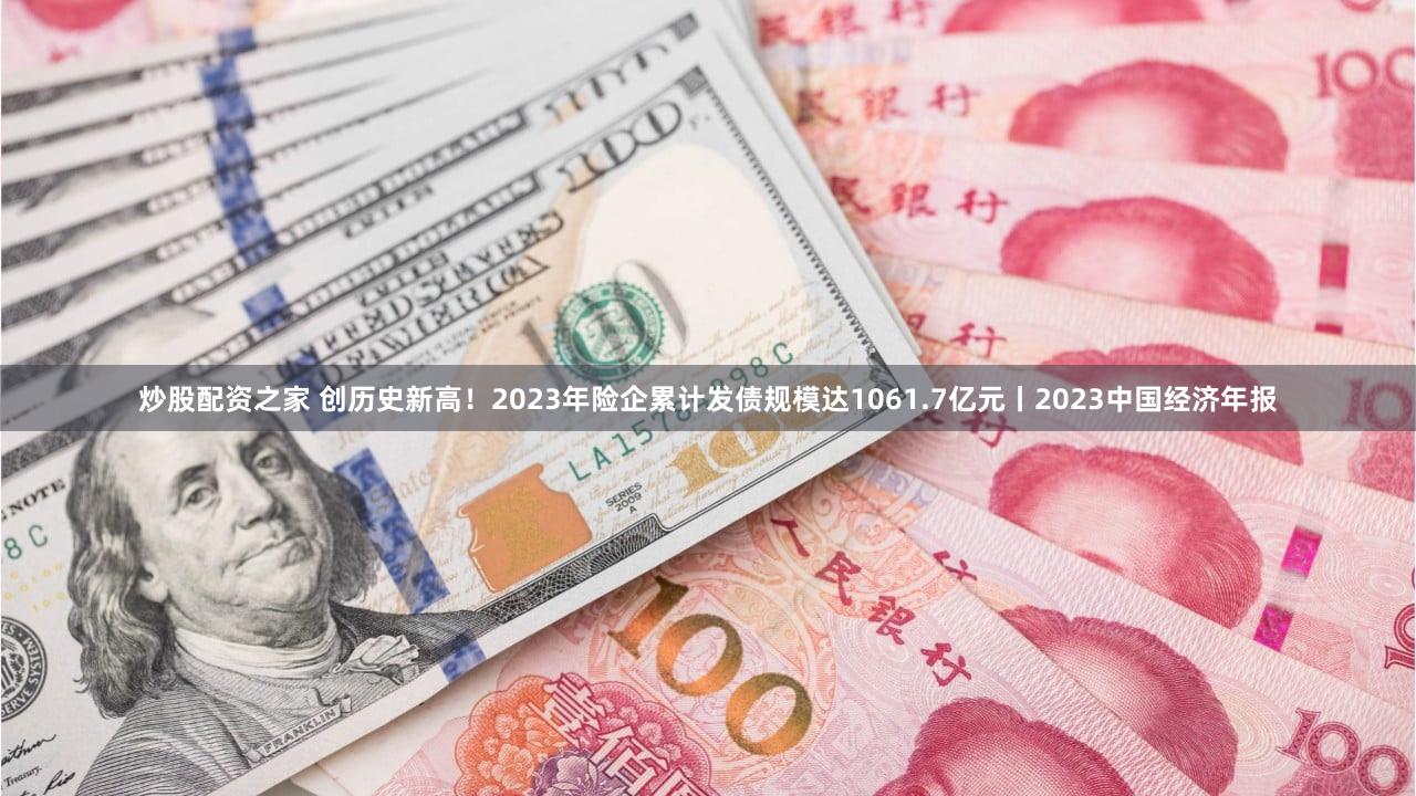 炒股配资之家 创历史新高！2023年险企累计发债规模达1061.7亿元丨2023中国经济年报