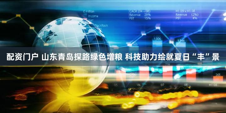 配资门户 山东青岛探路绿色增粮 科技助力绘就夏日“丰”景