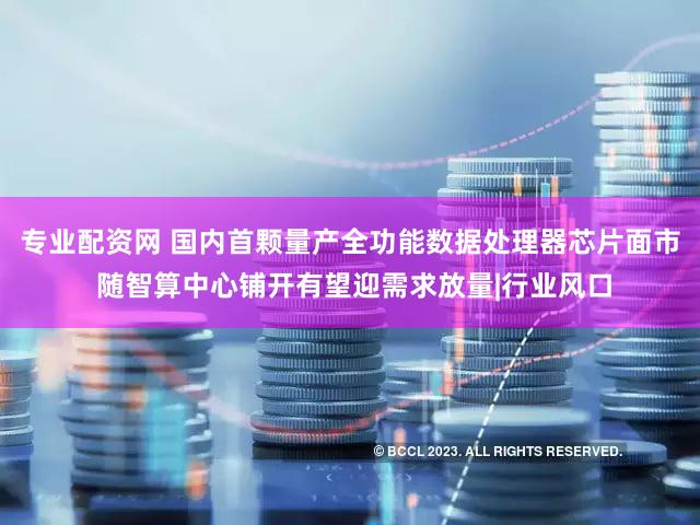专业配资网 国内首颗量产全功能数据处理器芯片面市 随智算中心铺开有望迎需求放量|行业风口