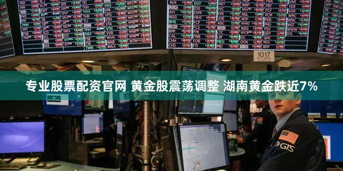 专业股票配资官网 黄金股震荡调整 湖南黄金跌近7%