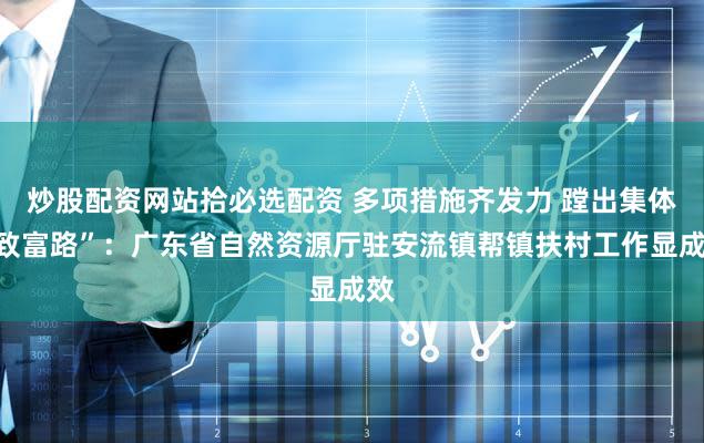 炒股配资网站拾必选配资 多项措施齐发力 蹚出集体“致富路”：广东省自然资源厅驻安流镇帮镇扶村工作显成效