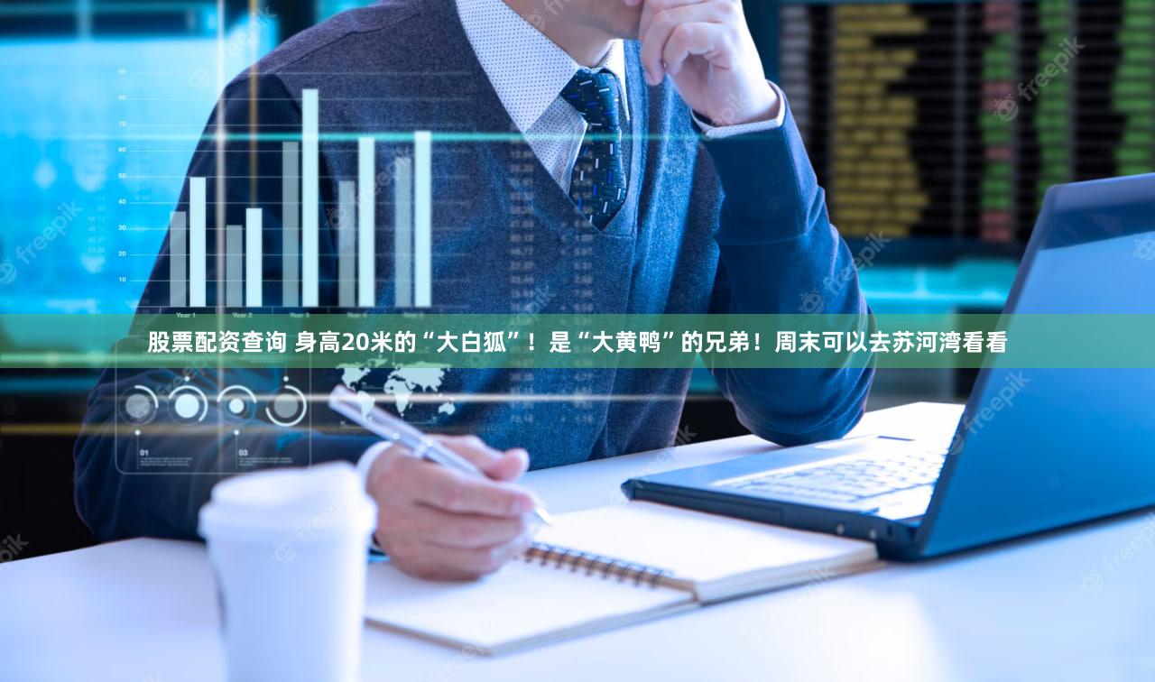 股票配资查询 身高20米的“大白狐”！是“大黄鸭”的兄弟！周末可以去苏河湾看看