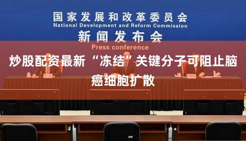 炒股配资最新 “冻结”关键分子可阻止脑癌细胞扩散