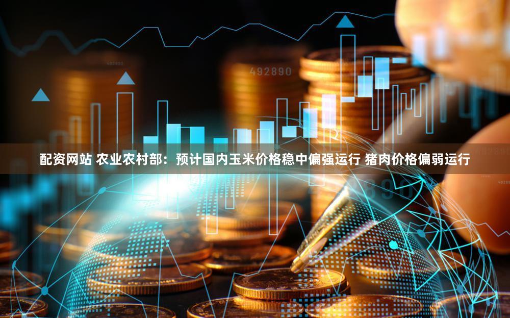 配资网站 农业农村部：预计国内玉米价格稳中偏强运行 猪肉价格偏弱运行
