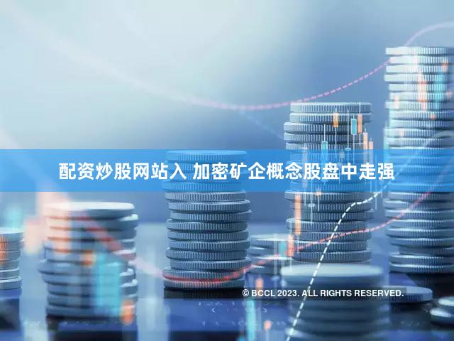 配资炒股网站入 加密矿企概念股盘中走强