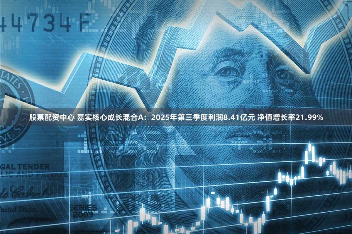 股票配资中心 嘉实核心成长混合A:2025年第三季度利润8.41亿元 净值增长率21.99%