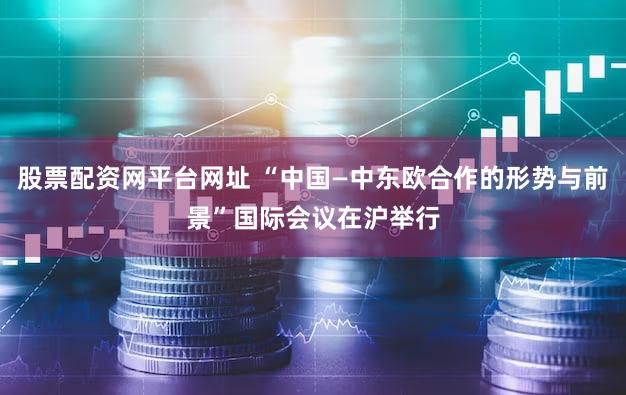 股票配资网平台网址 “中国—中东欧合作的形势与前景”国际会议在沪举行